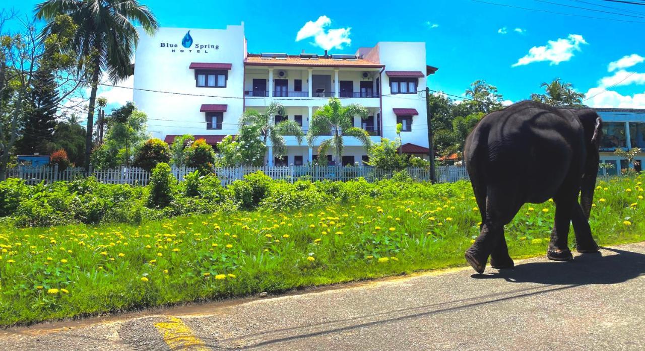 Blue Spring Hotel Wadduwa Exterior foto